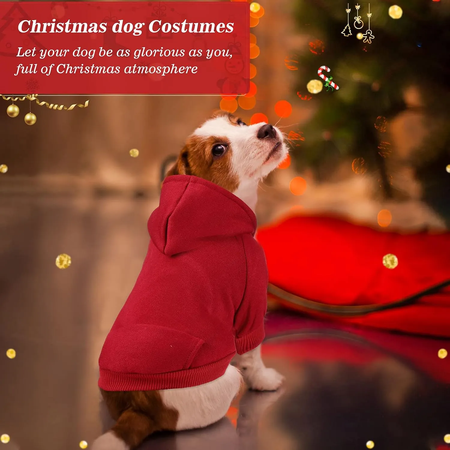 3 Pcs Pet Dog Sweater Jacket Knitwear Hoodie Clothes Pocket Puppy Coat Clothing Pup Christmas Shirt Costume Sweatshirt Fleece Lining Warm Winter Small Hooded Soft Thickening (Large)