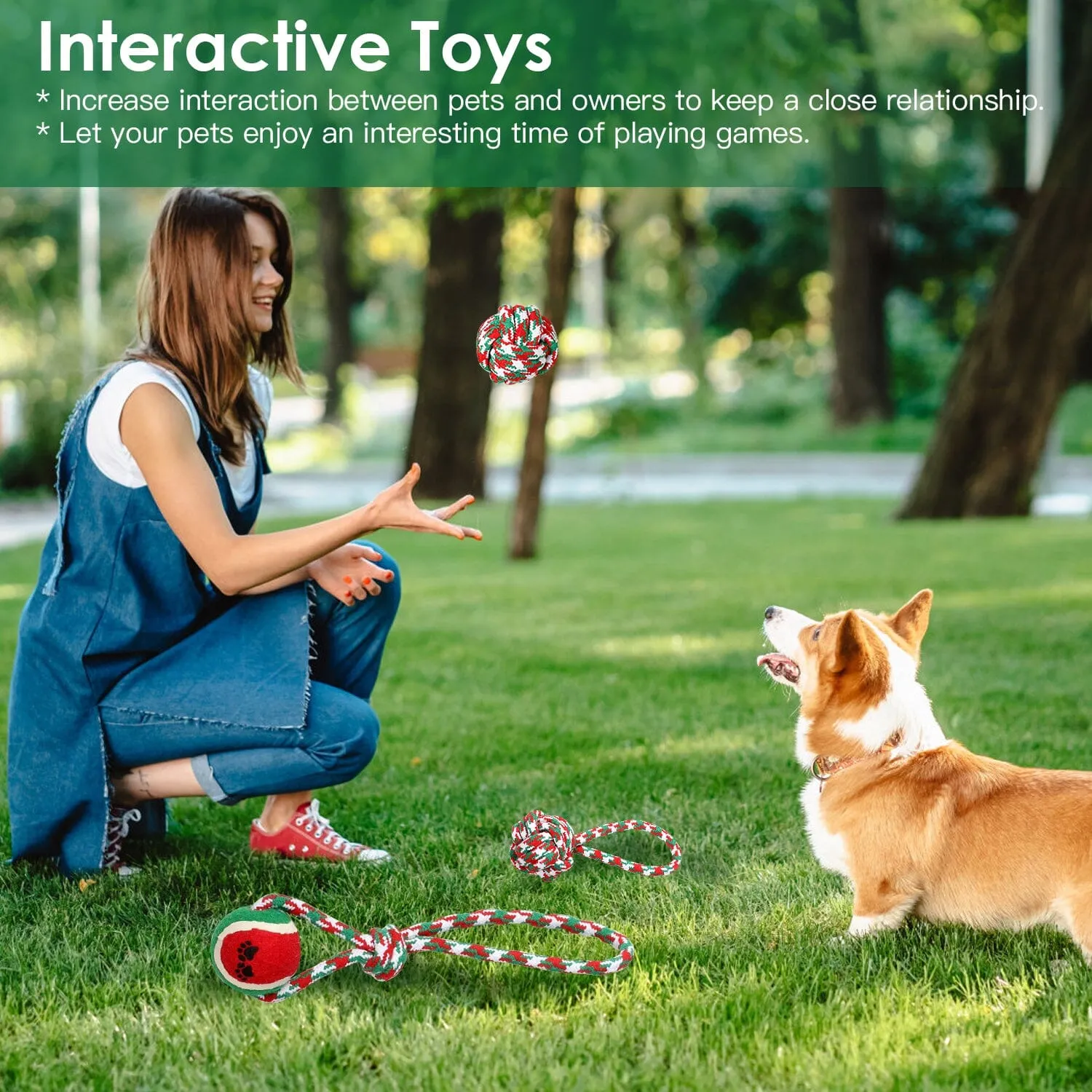 5-Pieces: Christmas Dog Rope Chew Toys