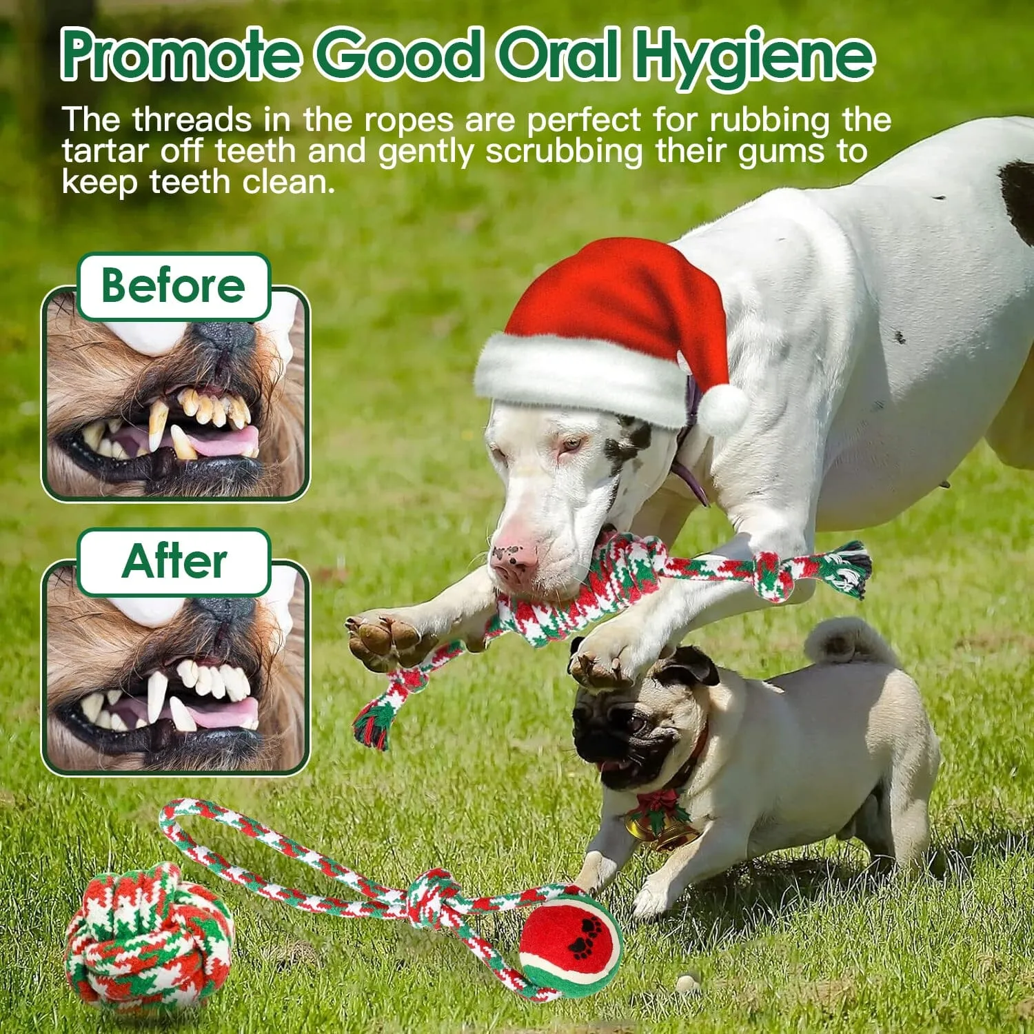 5-Pieces: Christmas Dog Rope Chew Toys