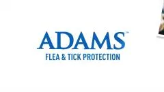 Adams Flea & Tick Cleansing Shampoo for Cats and Dogs, 12 ounces