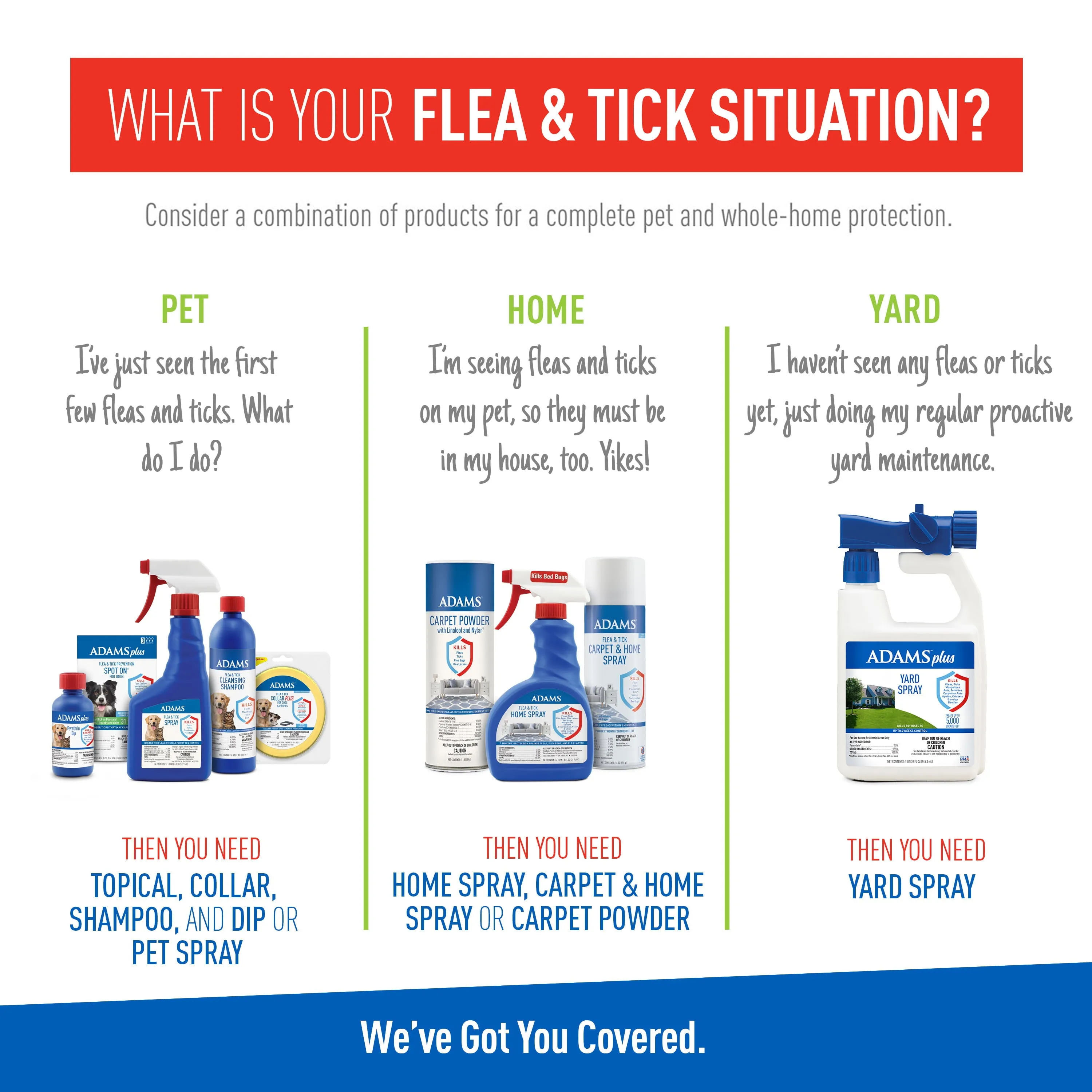 Adams Flea & Tick Cleansing Shampoo for Cats and Dogs, 12 ounces