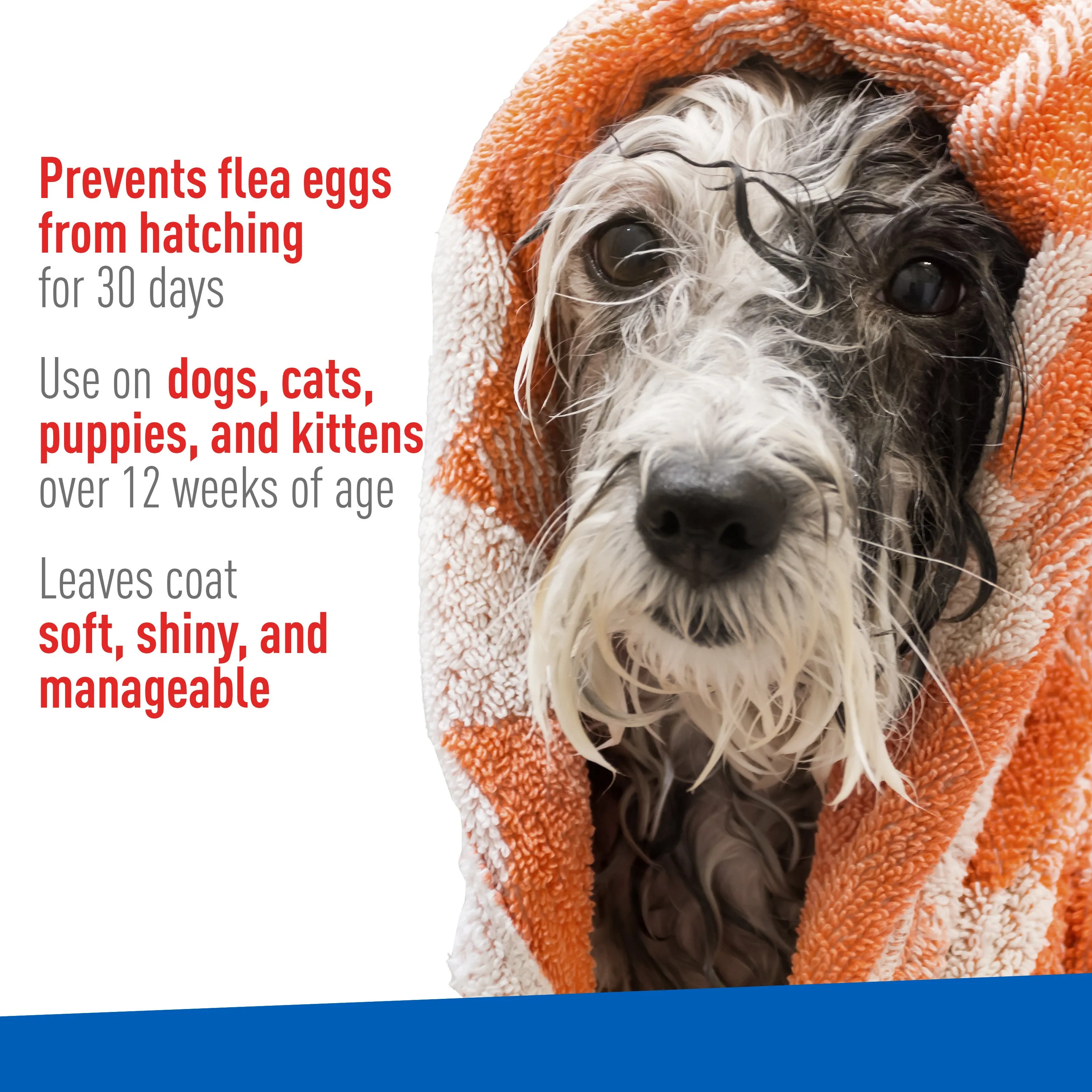 Adams Flea & Tick Cleansing Shampoo for Cats and Dogs, 12 ounces
