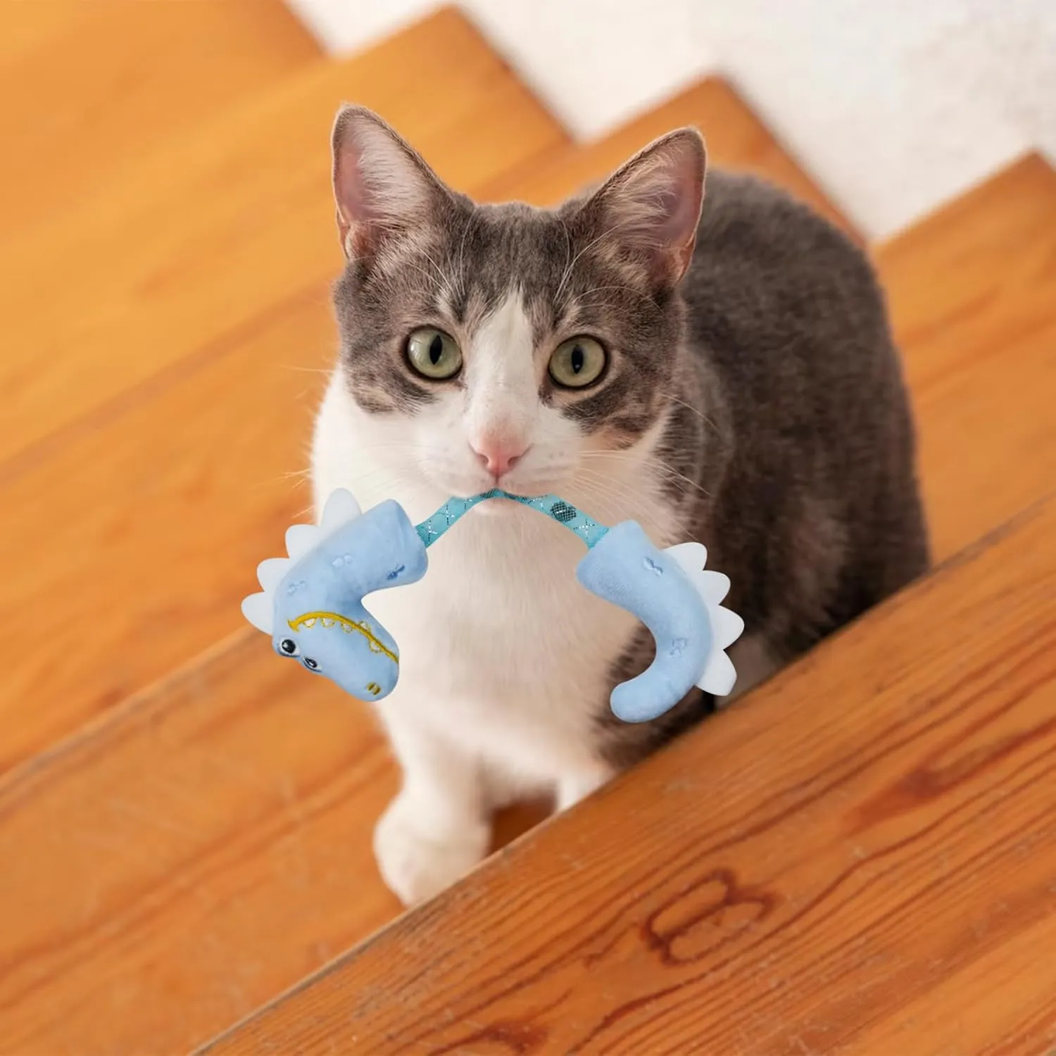 Andiker Cat Catnip Toy26.5cm Cat Plush Toy with Silvervine Fruit in Spring for Cats and Kittens (Blue)
