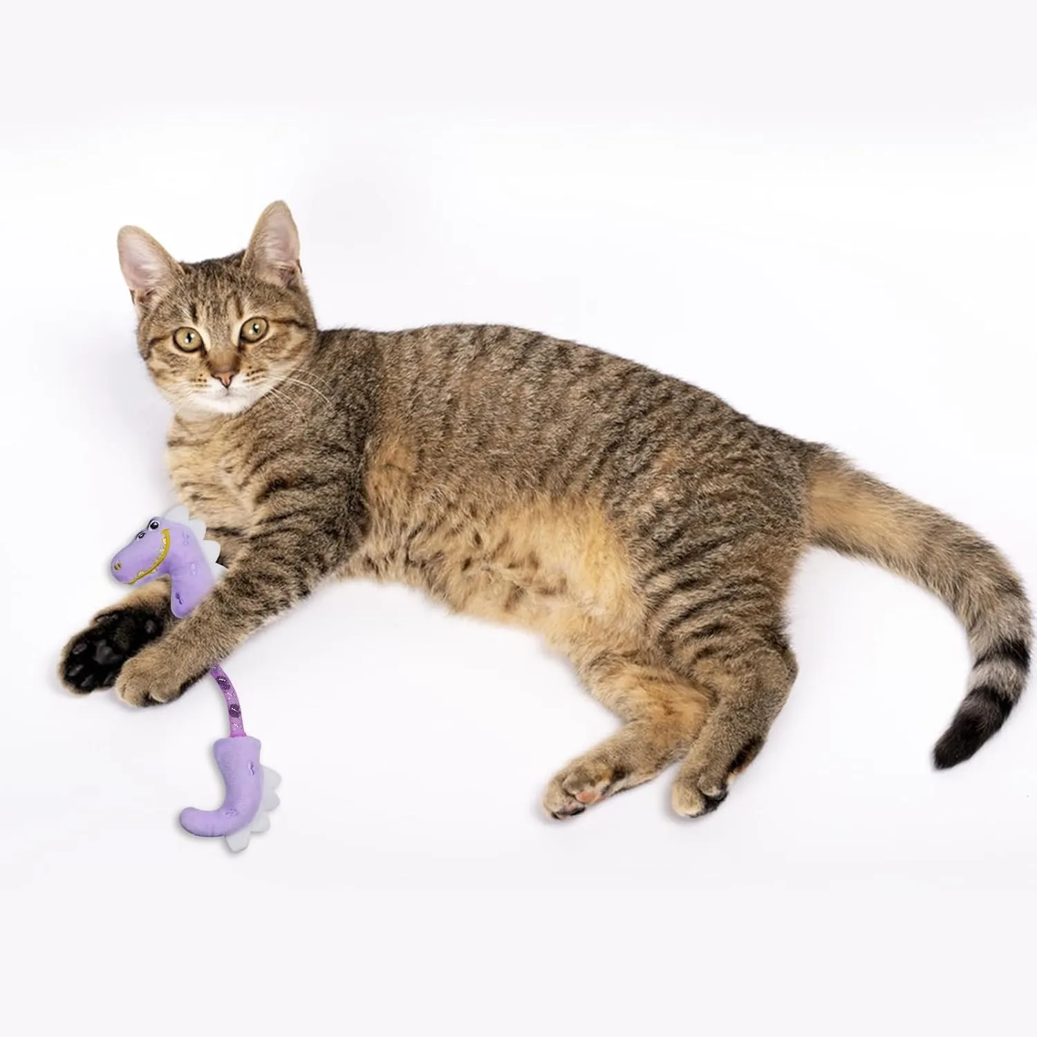 Andiker Cat Catnip Toy26.5cm Cat Plush Toy with Silvervine Fruit in Spring for Cats and Kittens (Purple)
