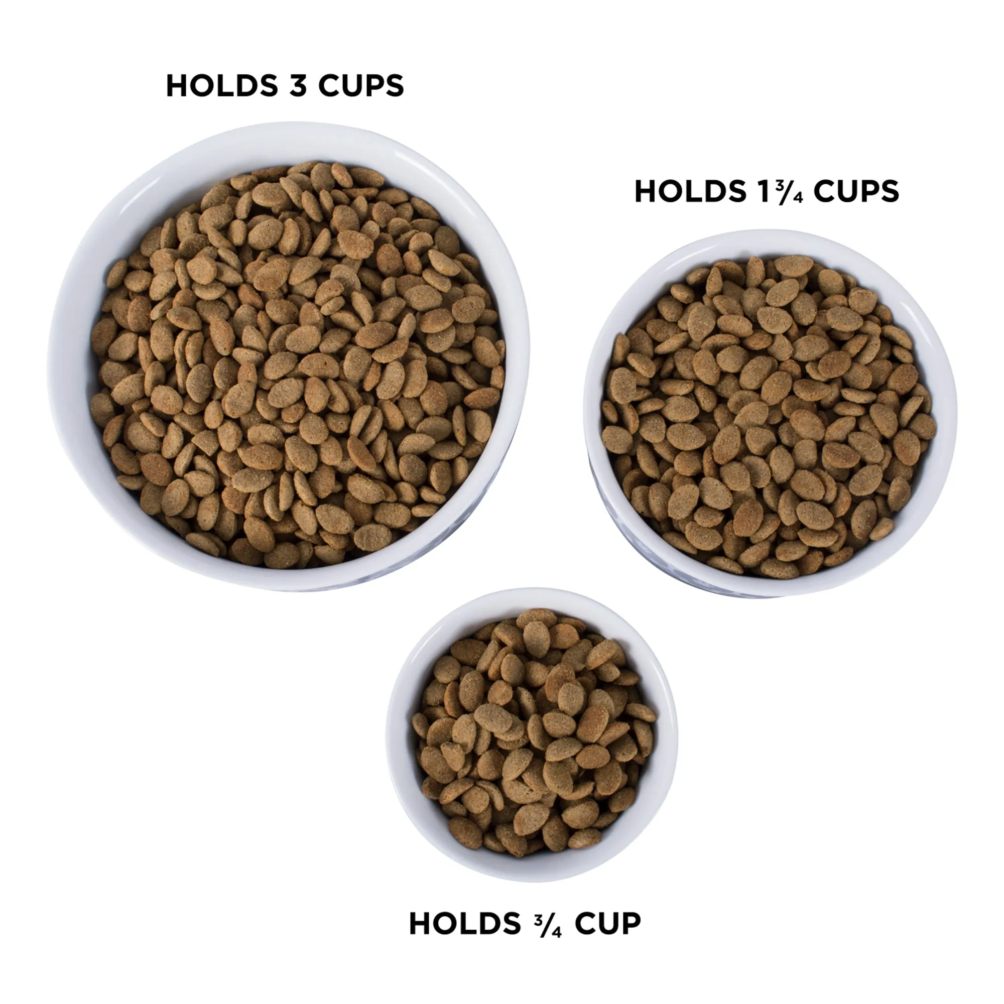 Aqua Lattice Paw Print Pet Bowl Set/2, Medium - 1.5 C. Capacity
