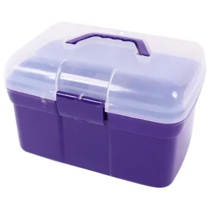 Ascot Grooming Kit Box Purple