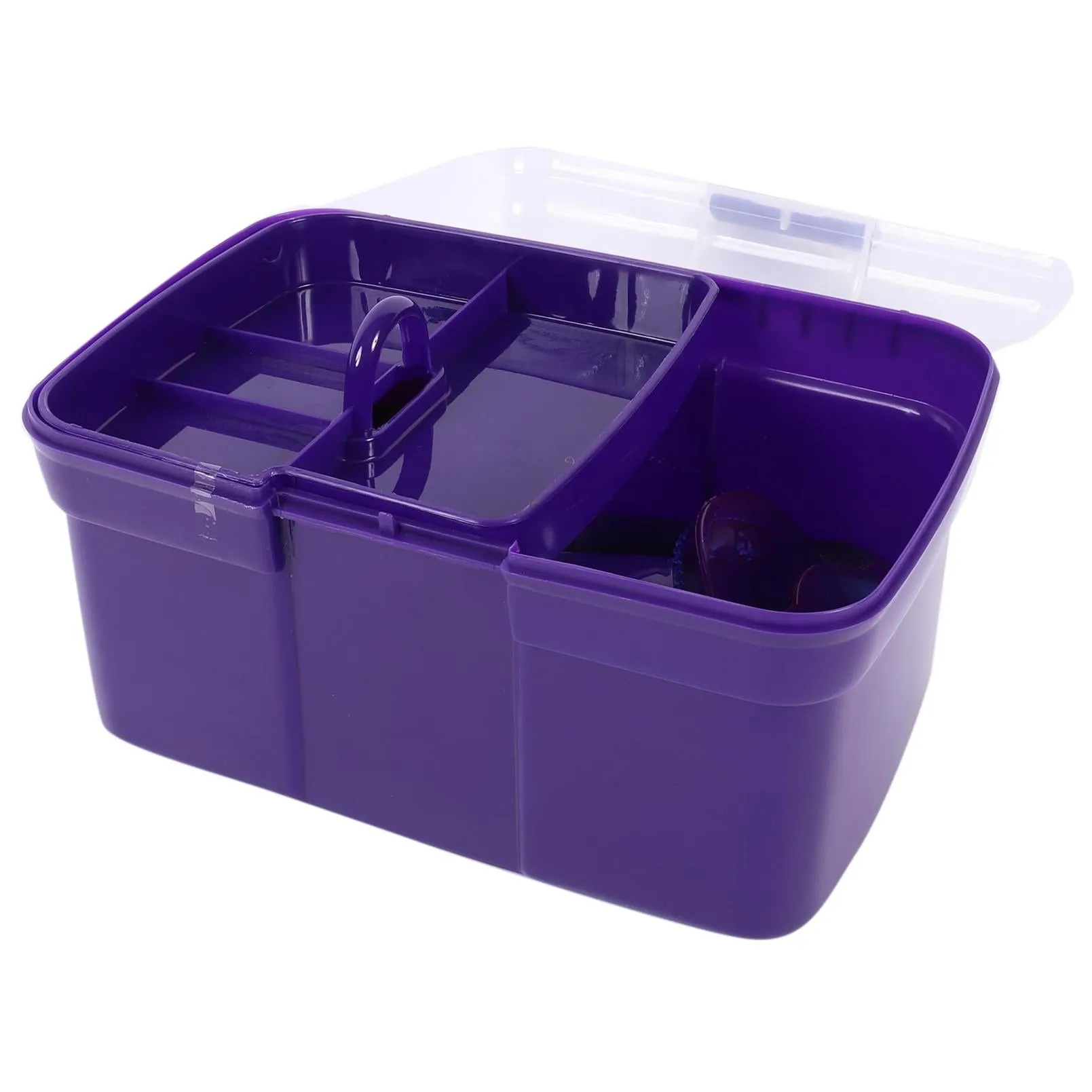 Ascot Grooming Kit Box Purple