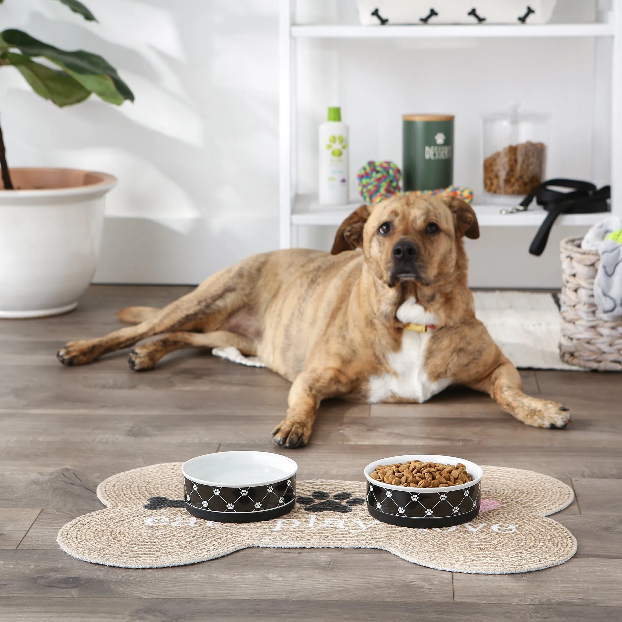 Black Trellis Paw Print Pet Bowl Set of 2, Medium - 1.5 C. Capacity