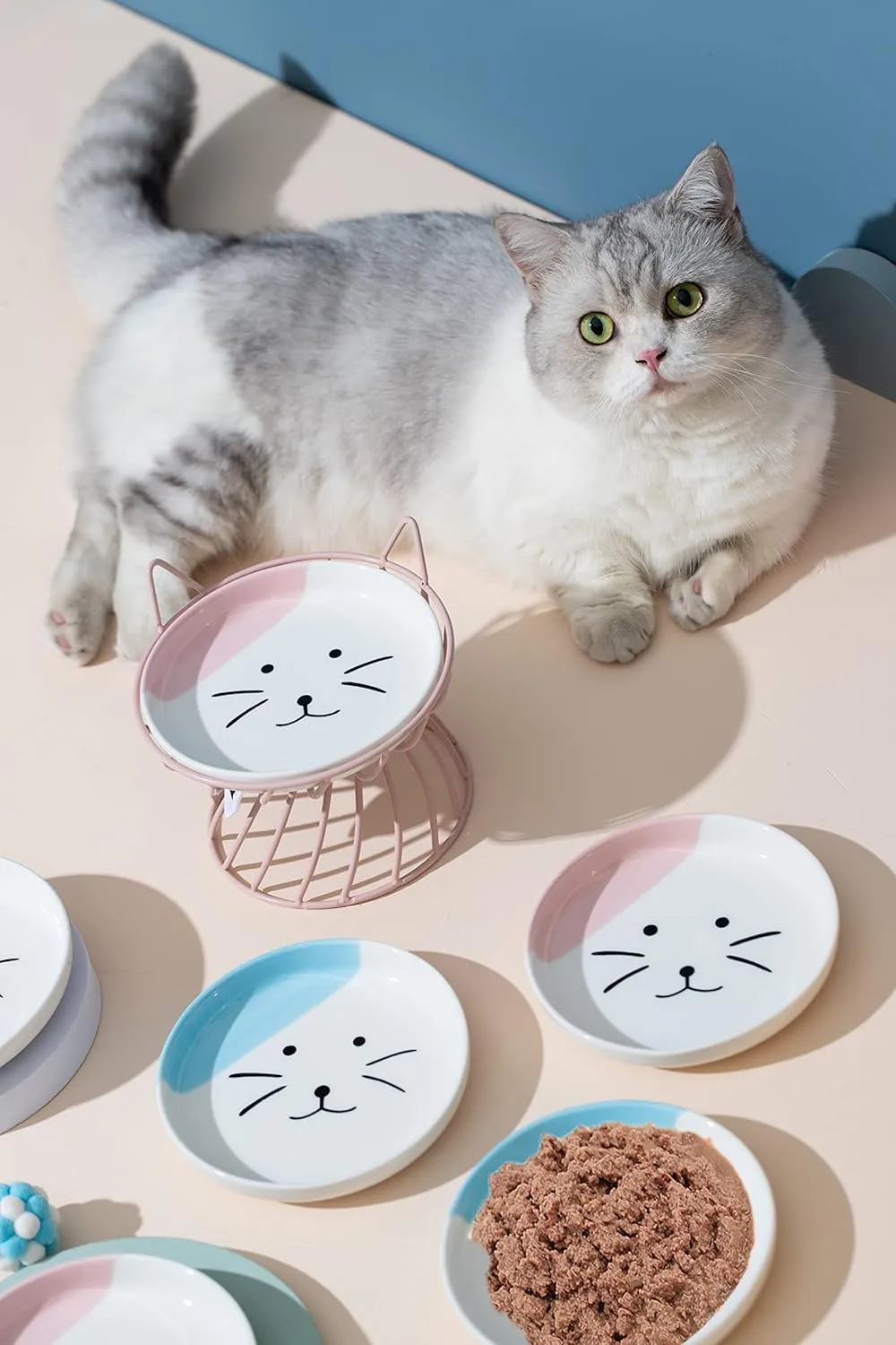 Ceramic Shallow Cat Food Dish, Cat Wet Food and Raw Meat Flat Cat Bowls; Stress Relief of Whisker Fatigue Cat Dishes, Wide Plate for Kittens Small Animals Munchkin Cat Set of 2