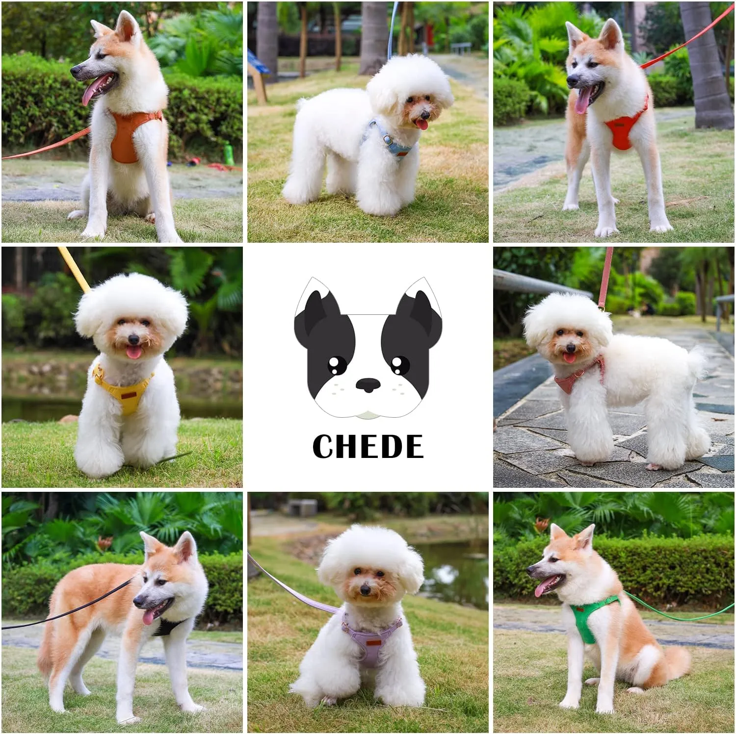 CHEDE No Pull Puppy Harness and Multifunction Dog Leash Set- 8 Colors Soft Adjustable No Choke Escape Proof Cute,Lightweight Pet Vest Harness for Small and Medium Dog (S, Green)