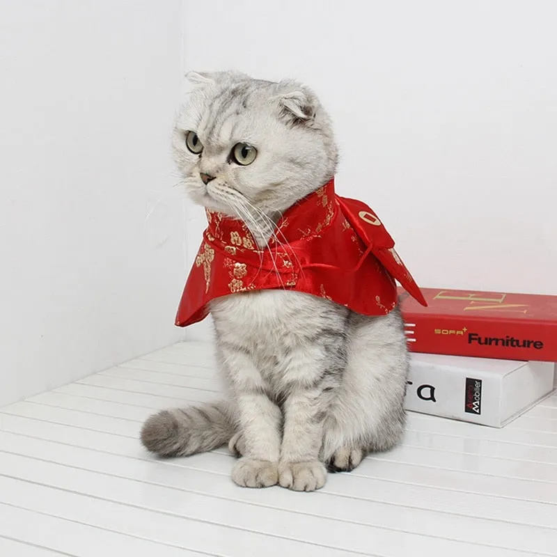 Chinese Style 2021 Festive Tang Suit Costume