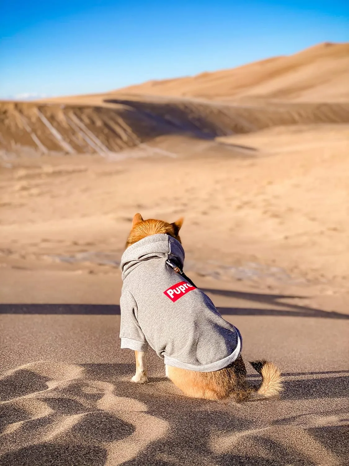 ChoChoCho Pup Dog Hoodie, Dog Sweater, Fashion Dog Clothes, Pet Clothing Cotton Cat Hoodies Stylish Streetwear Sweatshirt Gray Tracksuits Outfit for Dog Cat Puppy Small Medium Large (3XL)
