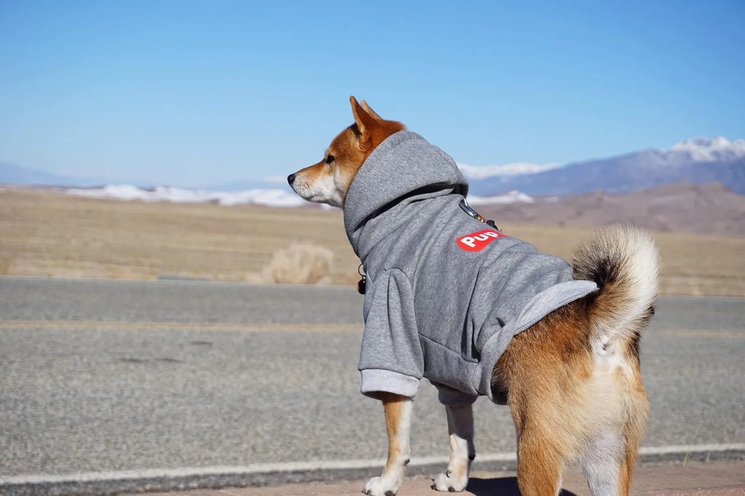 ChoChoCho Pup Dog Hoodie, Dog Sweater, Fashion Dog Clothes, Pet Clothing Cotton Cat Hoodies Stylish Streetwear Sweatshirt Gray Tracksuits Outfit for Dog Cat Puppy Small Medium Large (3XL)