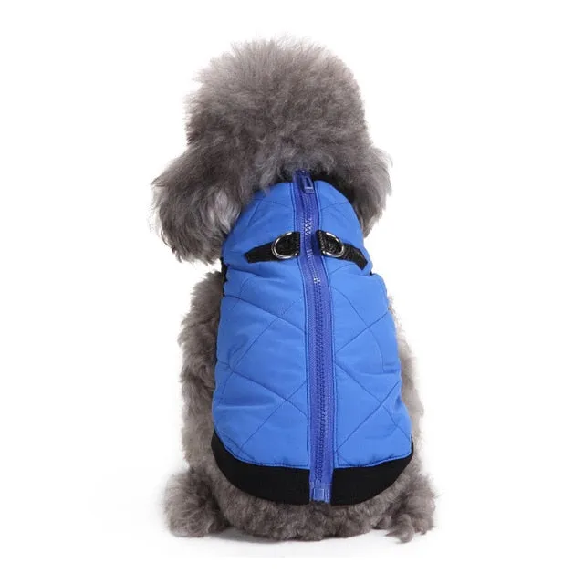 Comfy Warm Winter Vest With Leash Buckle For Small Dogs