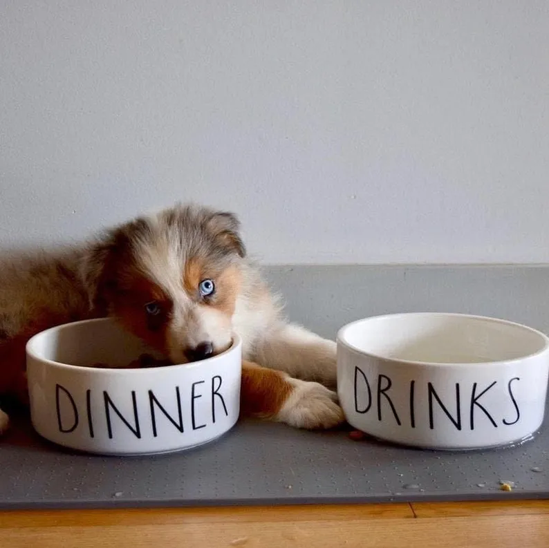 Dinner & Drinks White Ceramic Pet Food Bowl Set