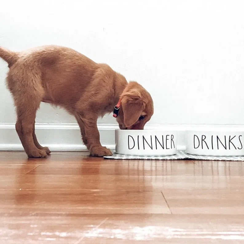 Dinner & Drinks White Ceramic Pet Food Bowl Set