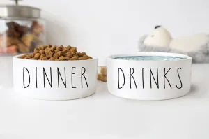 Dinner & Drinks White Ceramic Pet Food Bowl Set