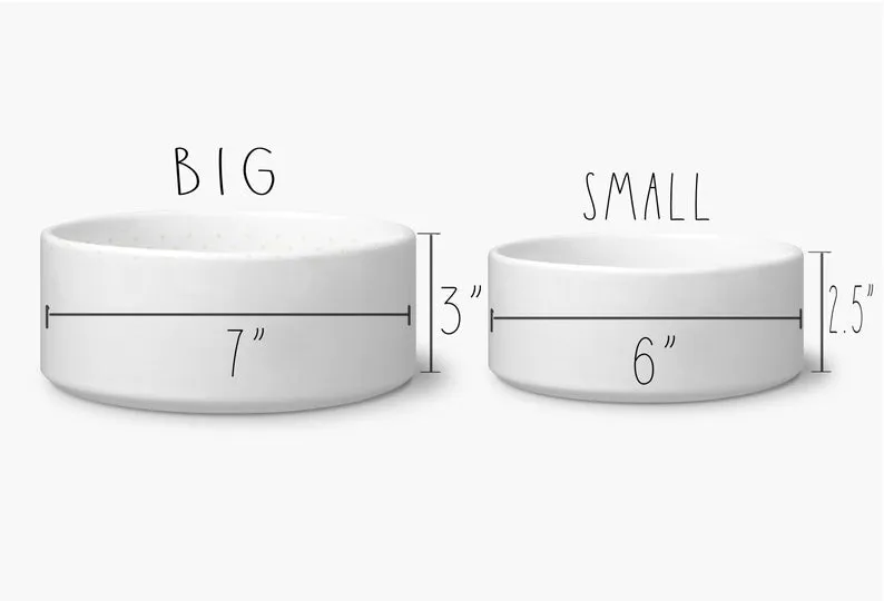 Dinner & Drinks White Ceramic Pet Food Bowl Set