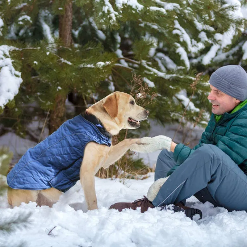 Dog Jackets For Winter, Cold Weather Coats For Dogs, Soft Winter Jackets Dogs, Dog Winter Vest For Small Medium And Large Dogs