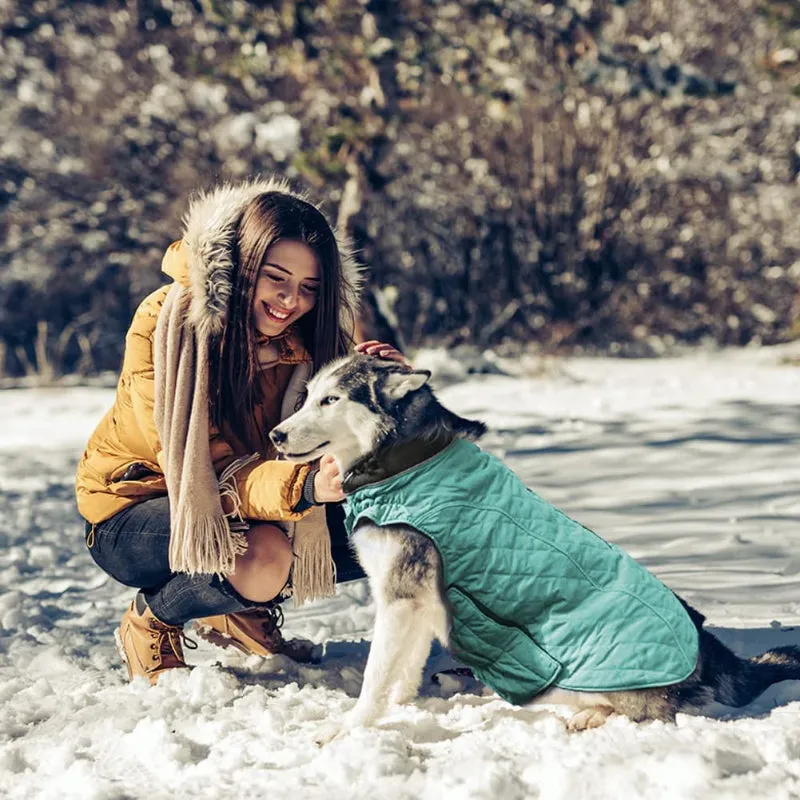 Dog Jackets For Winter, Cold Weather Coats For Dogs, Soft Winter Jackets Dogs, Dog Winter Vest For Small Medium And Large Dogs
