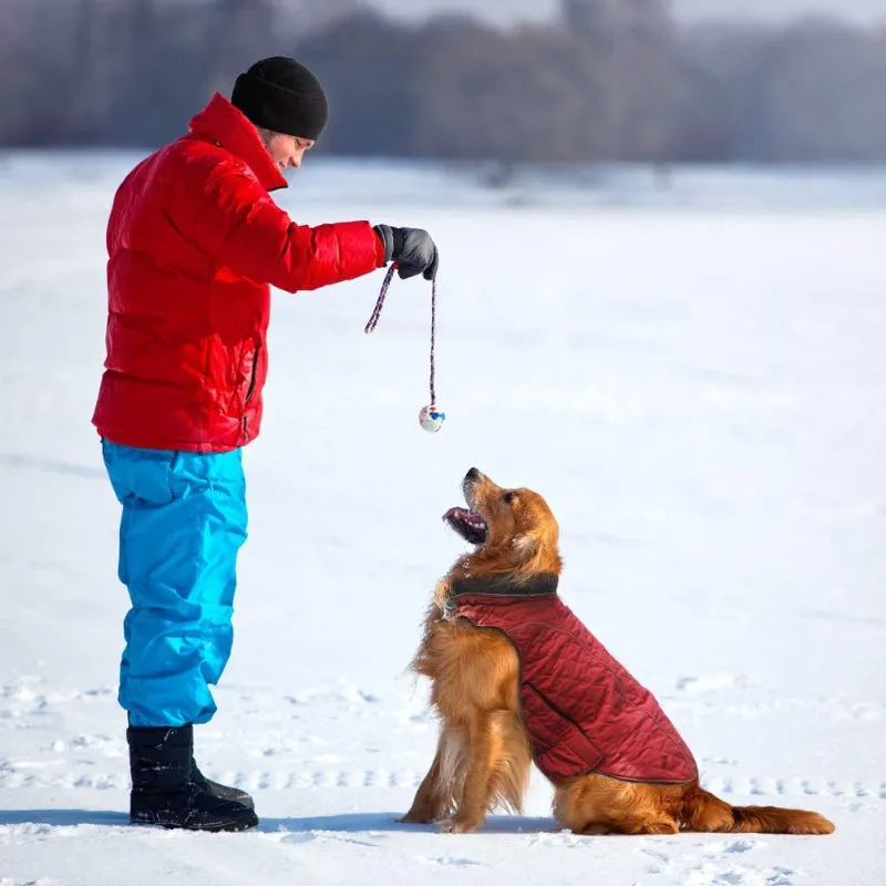Dog Jackets For Winter, Cold Weather Coats For Dogs, Soft Winter Jackets Dogs, Dog Winter Vest For Small Medium And Large Dogs
