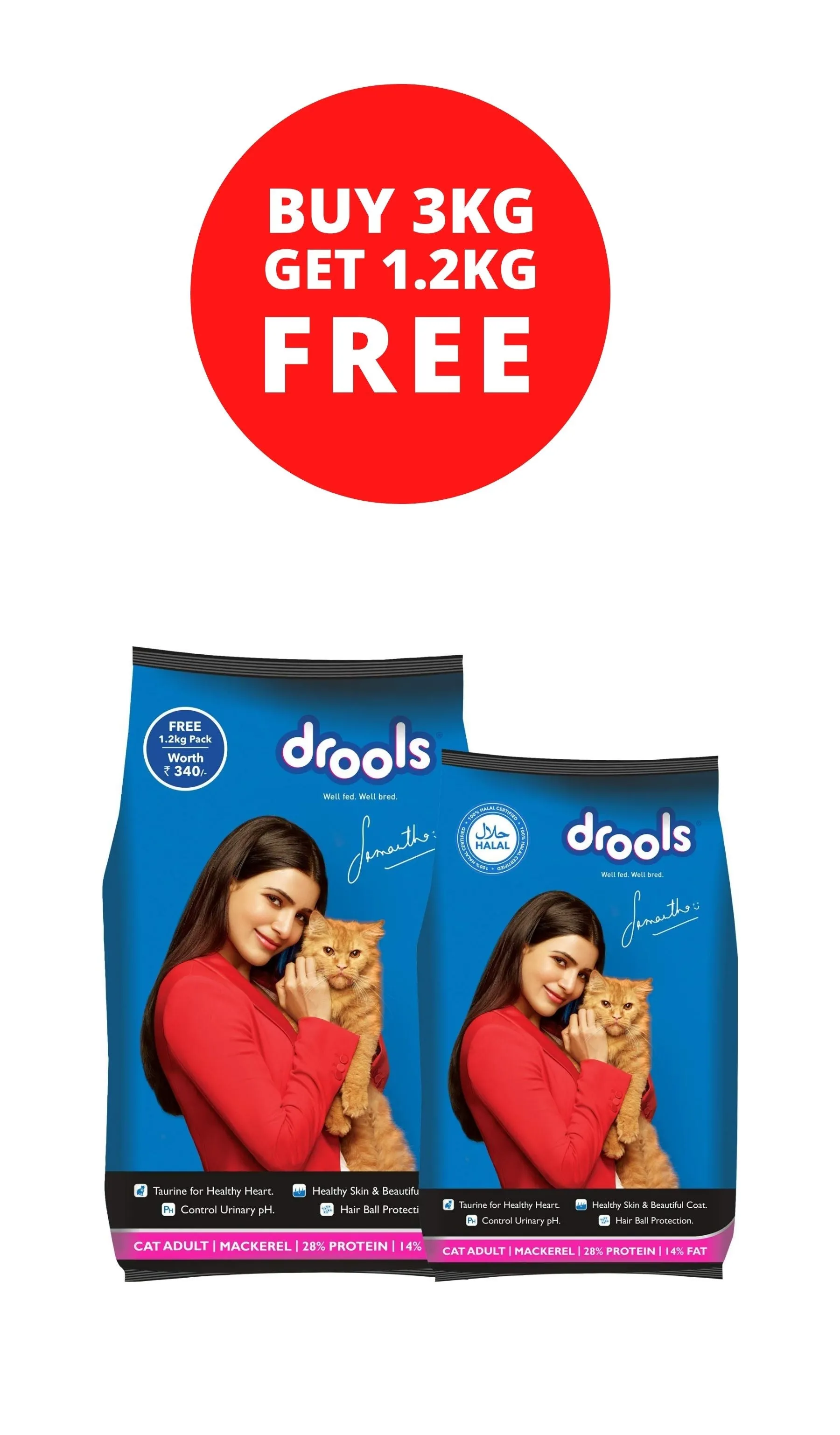 Drools Adult Cat Mackerel