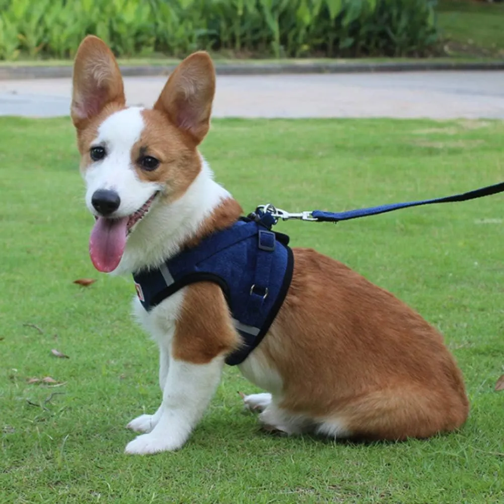 FEimaX Dog Harness and Leash Set, No Pull Reflective Adjustable Pet Harnesses for Puppy Kitten Soft Corduroy Chest Harness for Small Medium Dogs and Cats Easy Control Vest for Outdoor Walking