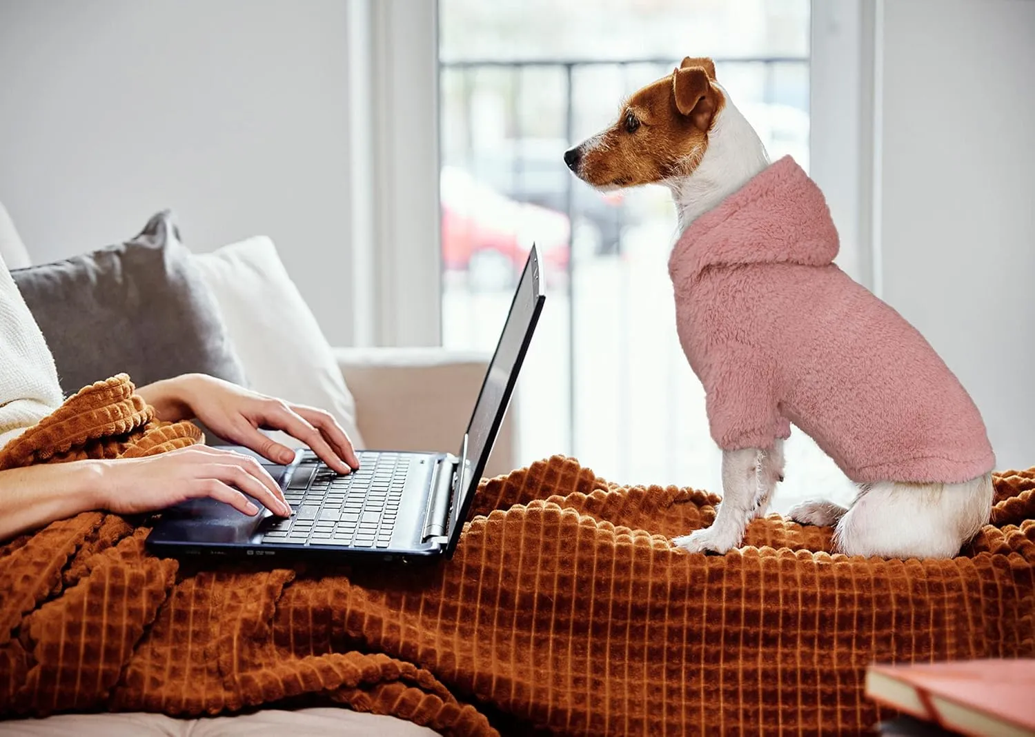 Fuzzy Warm Dog Hoodie for Small Dogs - Soft Cozy Pink Fleece with Hood (S)