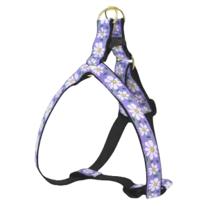 Harness | Daisy