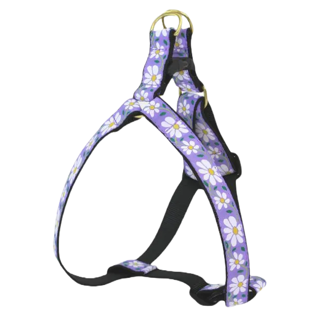 Harness | Daisy