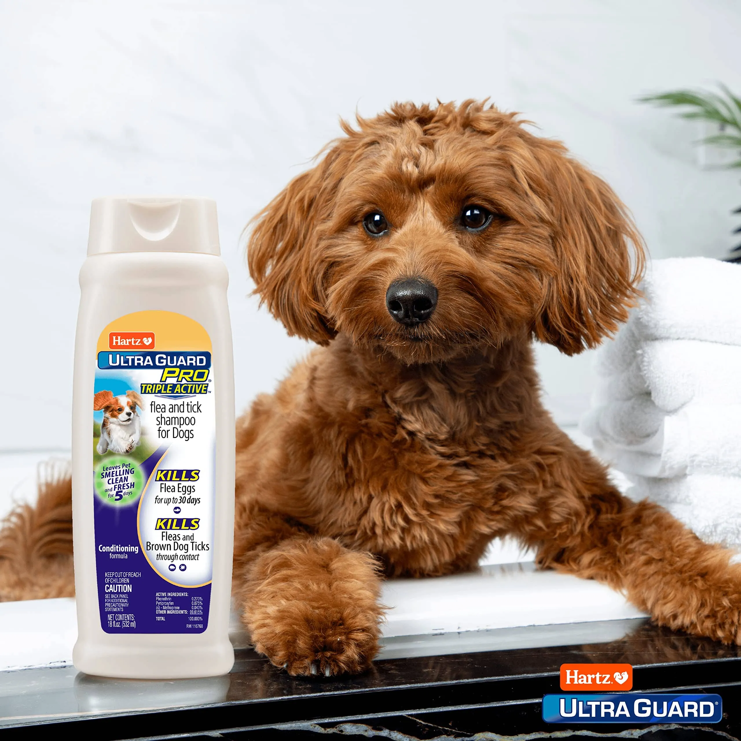 Hartz Mountain Ultra Guard Plus Flea and Tick Dog Shampoo and Conditioner - 18 Oz
