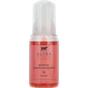 Hello Mango & Pomegranate Waterless Shampoo - 8oz