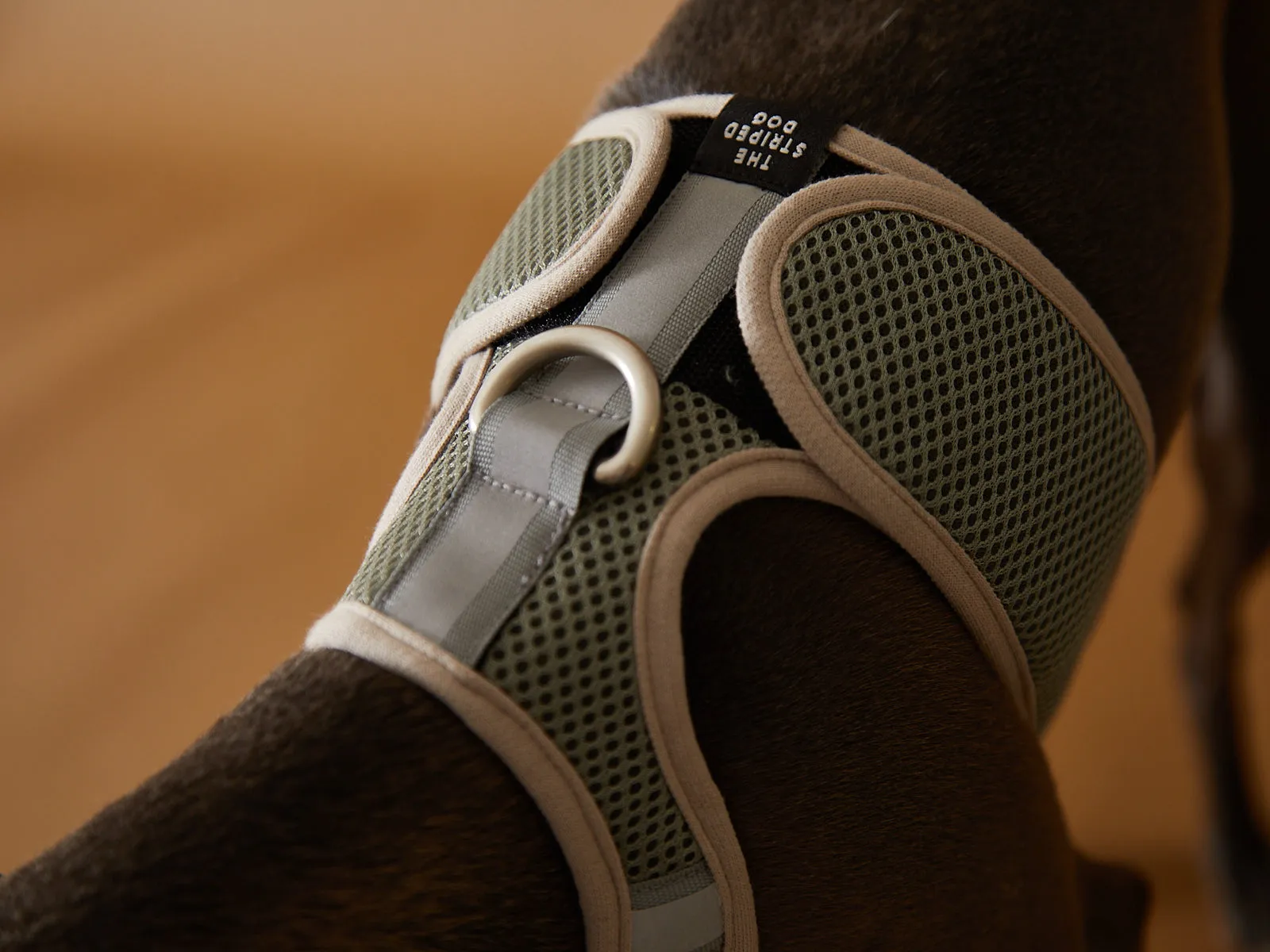 Italian Greyhound / Whippet Light Grey Neoprene Harness with Reflective Stripe CLAREMONT