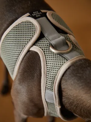 Italian Greyhound / Whippet Light Grey Neoprene Harness with Reflective Stripe CLAREMONT