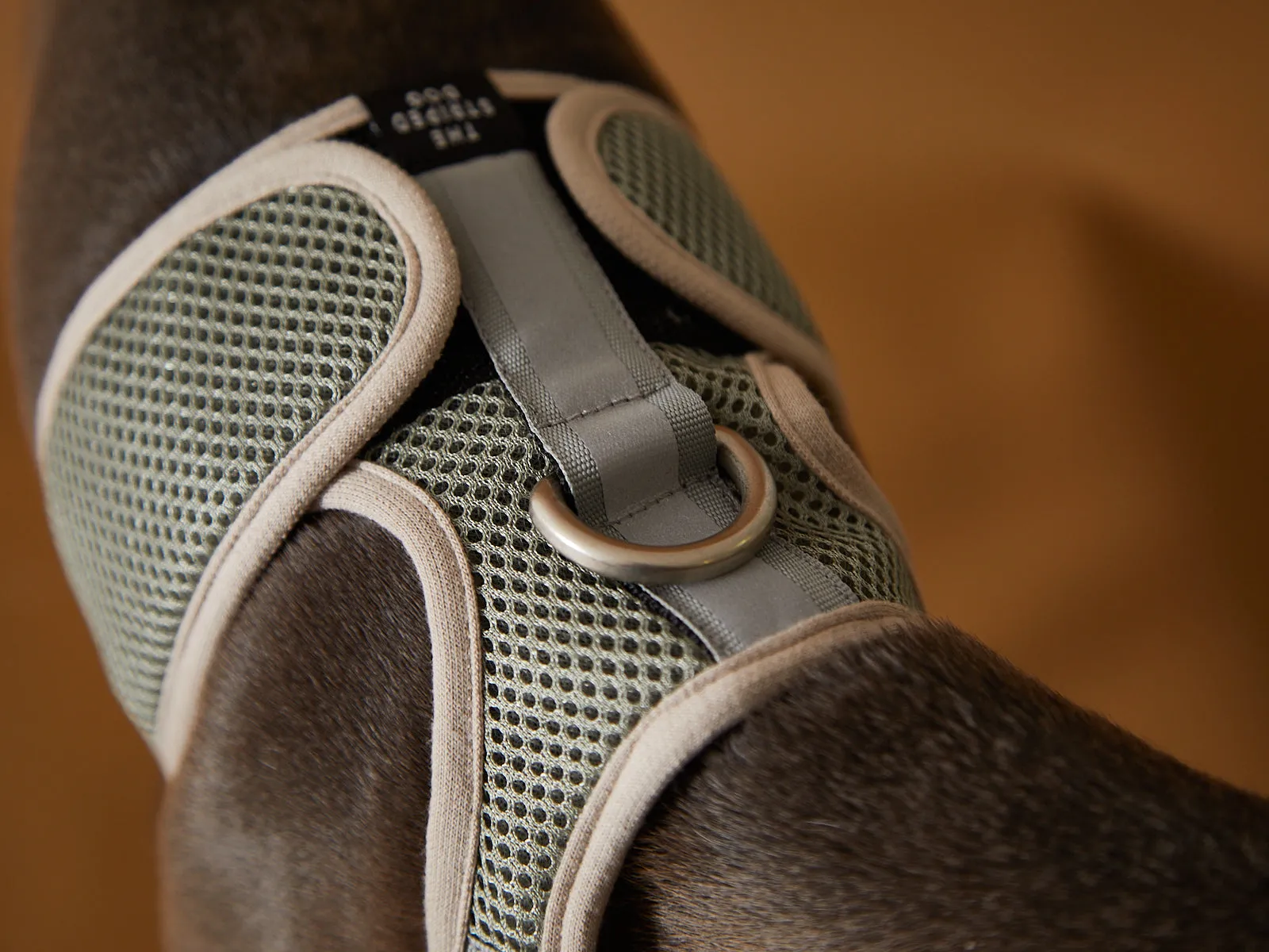 Italian Greyhound / Whippet Light Grey Neoprene Harness with Reflective Stripe CLAREMONT