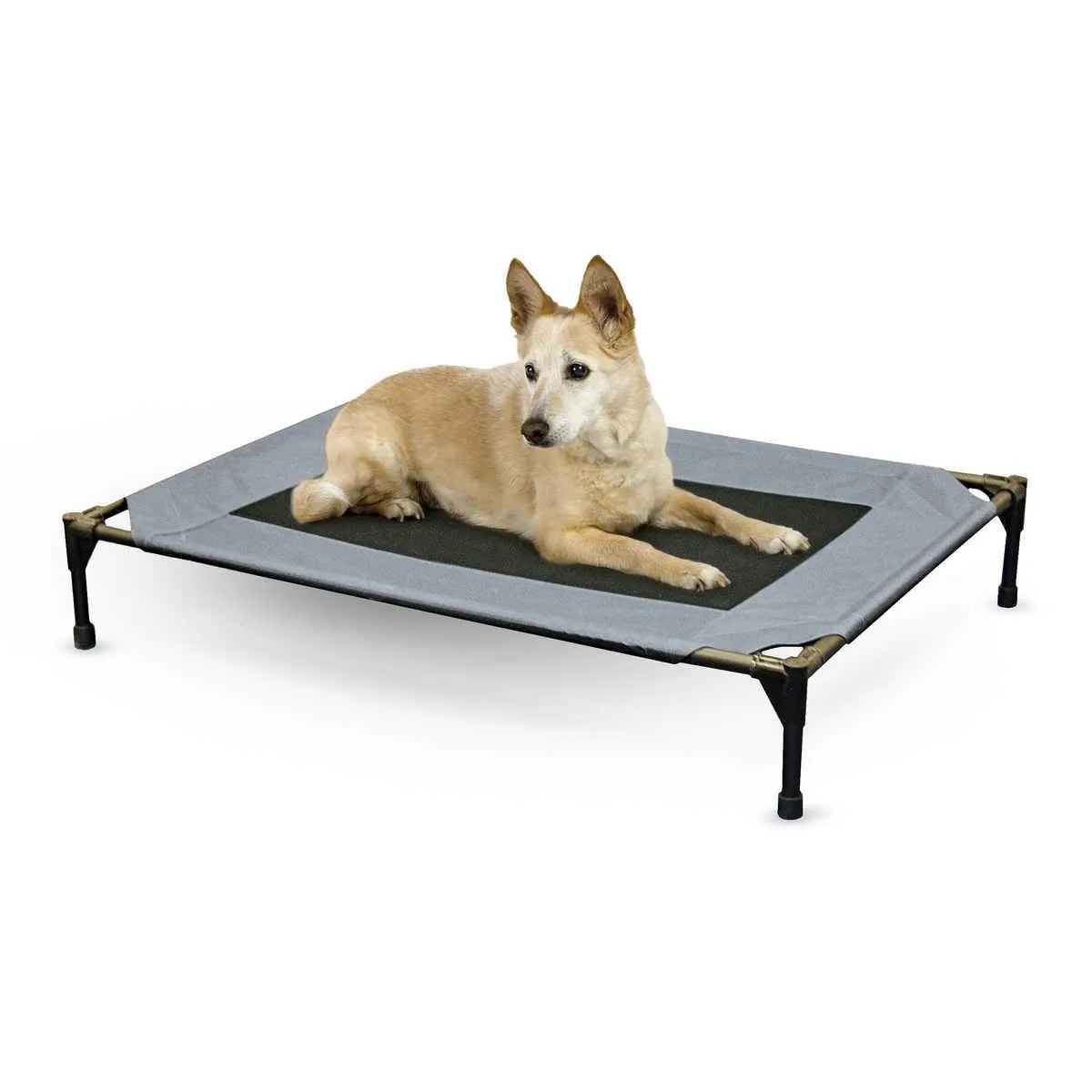 K&H Pet Products Original Pet Cot - 150 lb. capacity