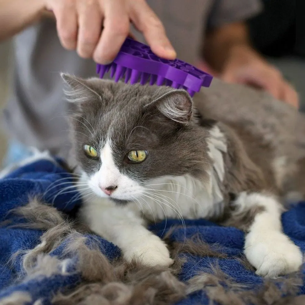 KONG Zoom Groom Cat Grooming Brush