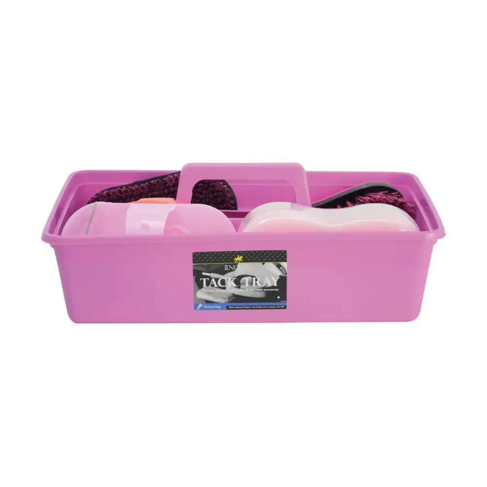 Lincoln Complete Grooming Kit