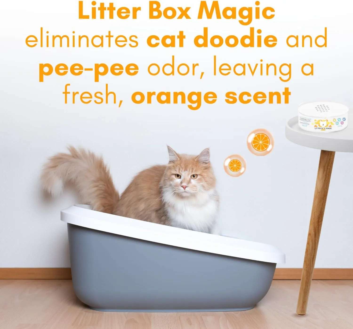 Litter Box (,16 ( 453.6 ),1 )      ,