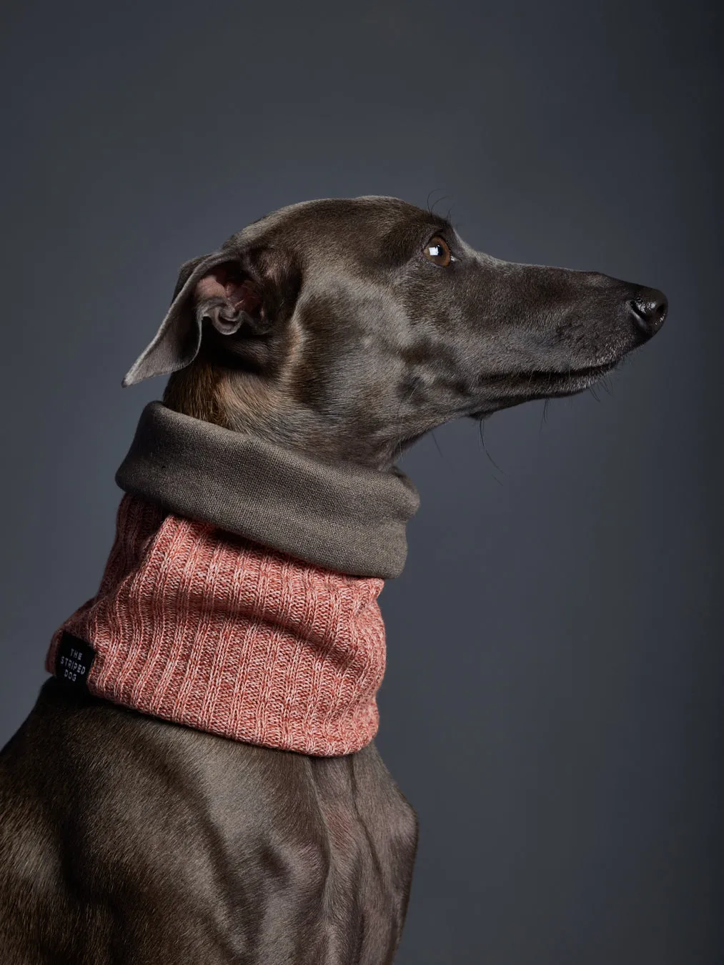 Orange Reversible Ring Scarf LANCASTER
