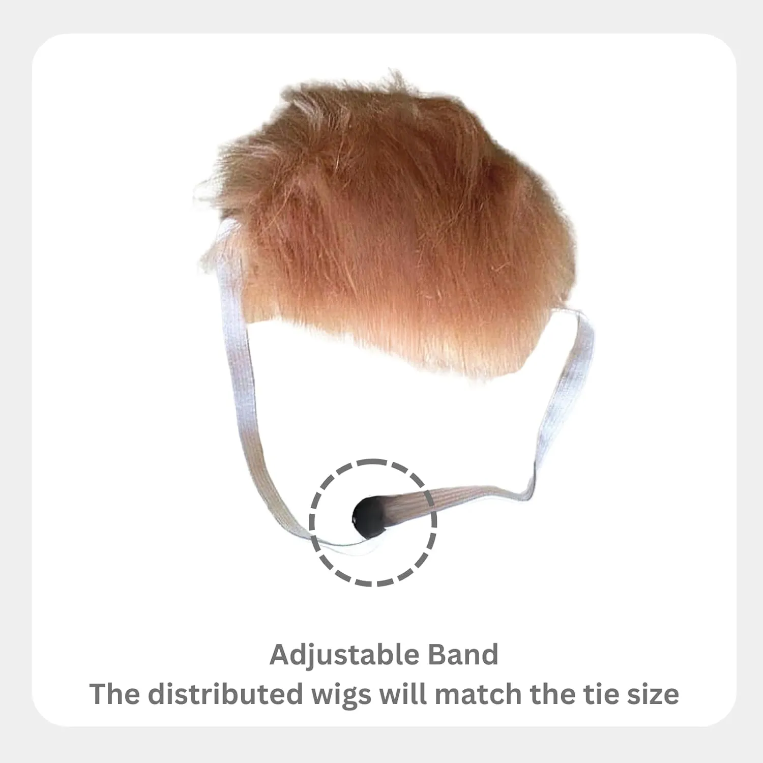 Pet Cat/Dog Blonde Wig with Tie - Iconic and Playful Toupee Hat, Cosplay Dress Up Clothing Costume Halloween Accessories (RedTie, L)
