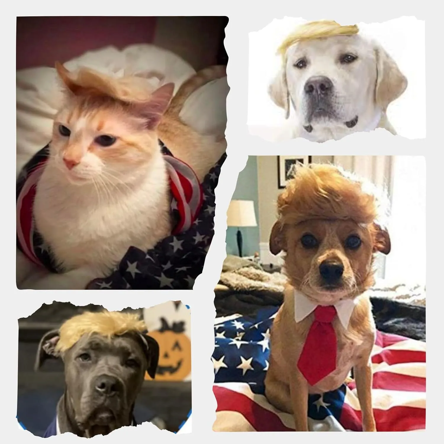 Pet Cat/Dog Blonde Wig with Tie - Iconic and Playful Toupee Hat, Cosplay Dress Up Clothing Costume Halloween Accessories (RedTie, L)
