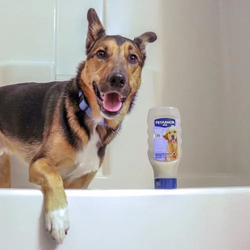 PetArmor® Plus Flea & Tick Shampoo with Oatmeal for Dogs