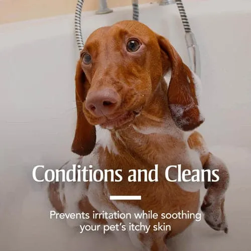 PetArmor® Plus Flea & Tick Shampoo with Oatmeal for Dogs