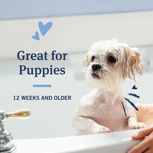 PetArmor® Plus Flea & Tick Shampoo with Oatmeal for Dogs