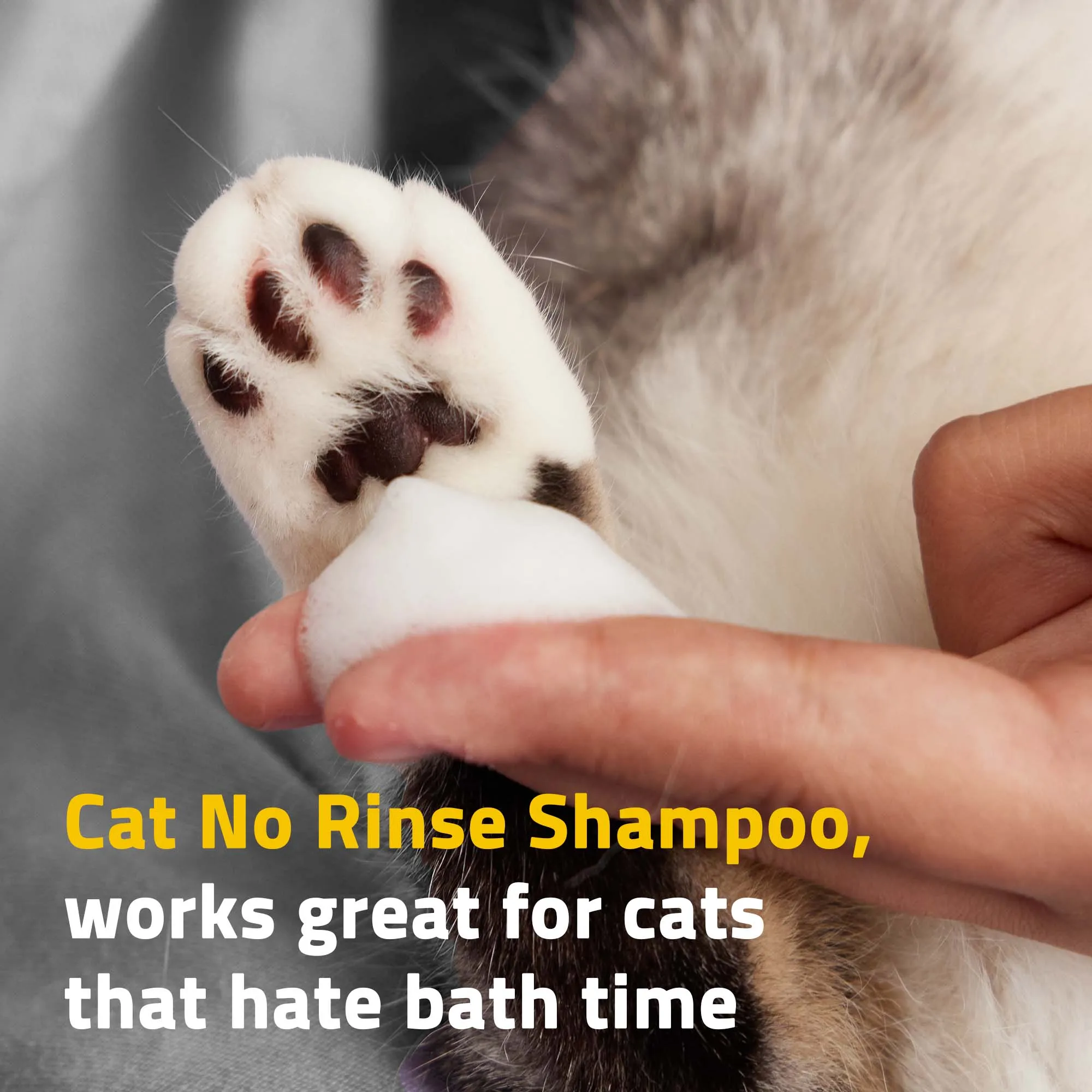 PetO'Cera Waterless Cat Shampoo