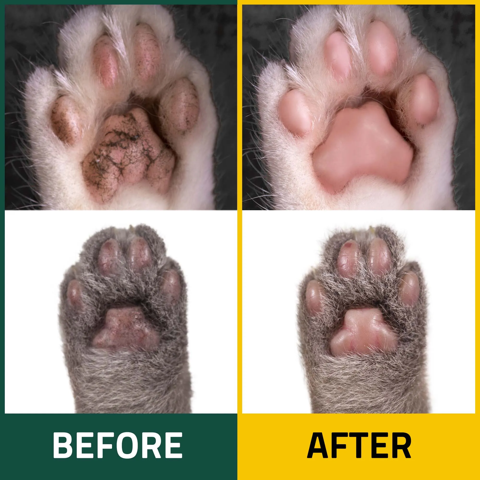 PetO'Cera Waterless Cat Shampoo