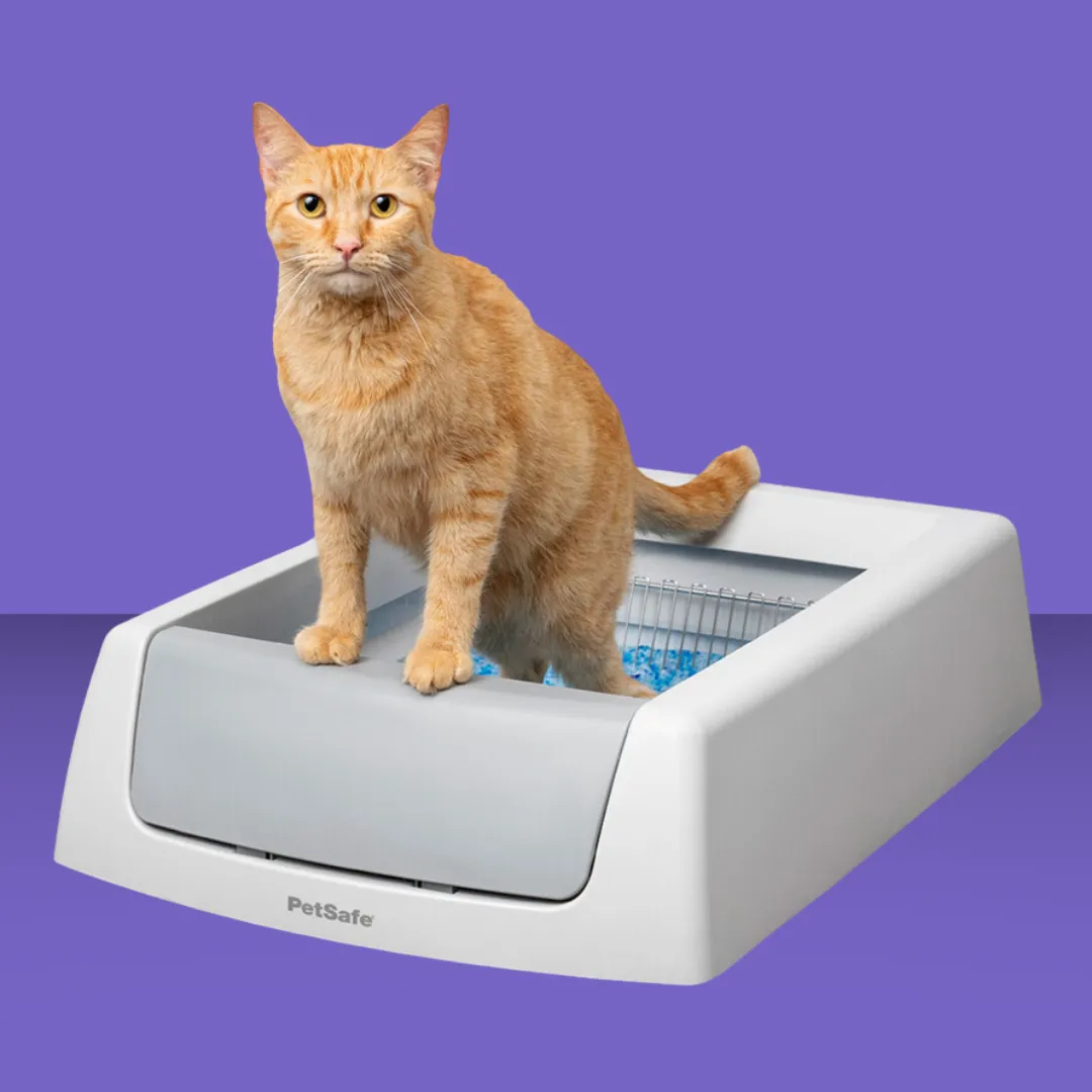 Petsafe Scoopfree Cat Litter Box