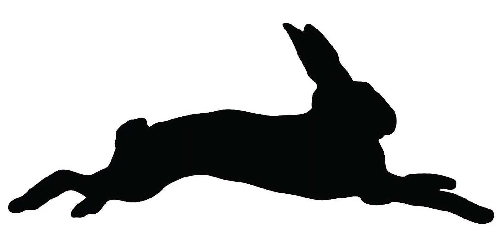 Rabbit Pet Blend Raw