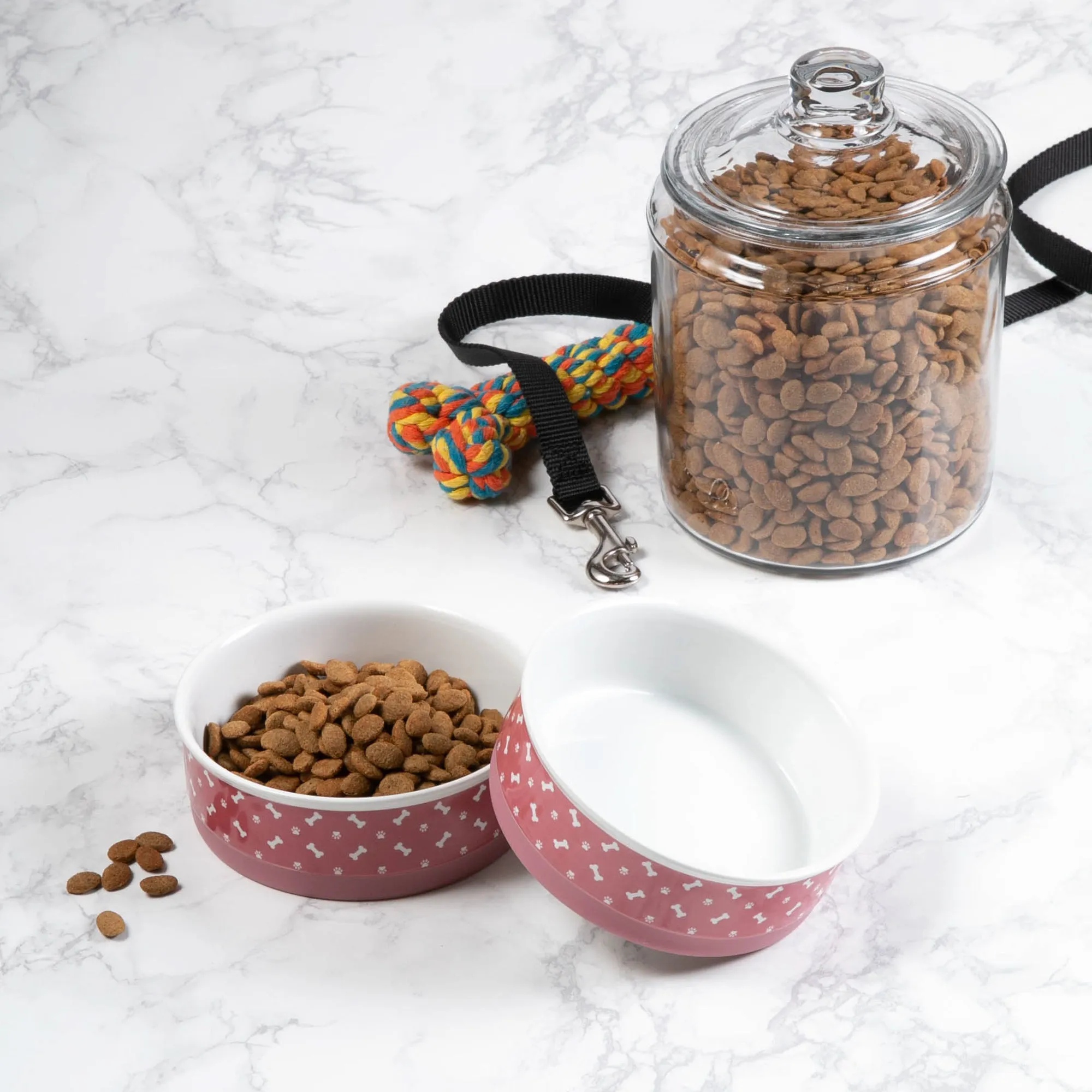 Rose Bone & Paw Print Pet Bowl Set of 2, Medium - 1.5 C. Capacity